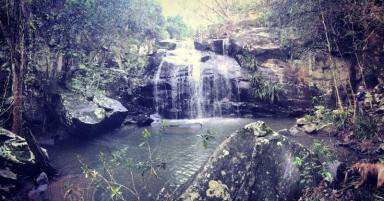 Acreage/Semi-rural For Sale - NSW - Bandon Grove - 2420 - Discover your dream escape at Gully Falls House—an idyllic rainforest retreat.  (Image 2)
