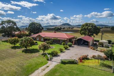 Lifestyle For Sale - NSW - Mudgee - 2850 - BLUE CHIP LIFESTYLE LIVING  (Image 2)