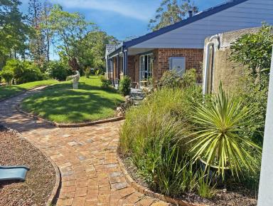 Lifestyle For Sale - NSW - Burrell Creek - 2429 - La Maison de L’ancienne Poterie – 36-Acre Rural Sanctuary  (Image 2)