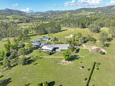 Lifestyle For Sale - NSW - Burrell Creek - 2429 - La Maison de L’ancienne Poterie – 36-Acre Rural Sanctuary  (Image 2)