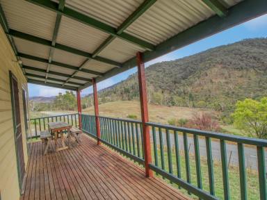 Unit For Sale - VIC - Omeo - 3898 - AFFORDABLE HIGH-COUNTRY LIVING  (Image 2)