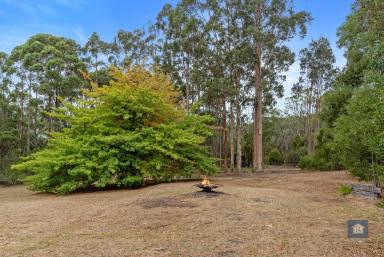 Residential Block For Sale - VIC - Kawarren - 3249 - Serene Bush Block Waiting For You...  (Image 2)