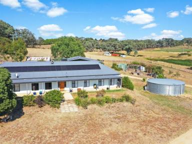 House For Sale - NSW - Young - 2594 - 7 Year Old Home on 10acs plus 20acs of Lease Attached  (Image 2)