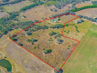 House For Sale - NSW - Young - 2594 - 7 Year Old Home on 10acs plus 20acs of Lease Attached  (Image 2)