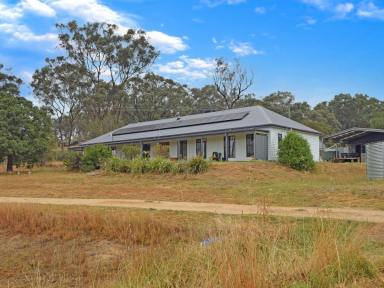 House For Sale - NSW - Young - 2594 - 7 Year Old Home on 10acs plus 20acs of Lease Attached  (Image 2)