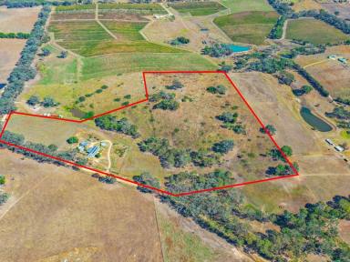 House For Sale - NSW - Young - 2594 - 7 Year Old Home on 10acs plus 20acs of Lease Attached  (Image 2)