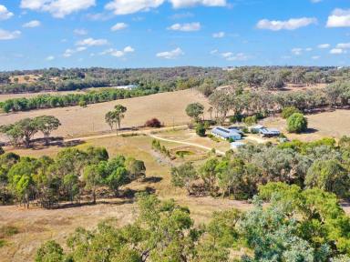 House For Sale - NSW - Young - 2594 - 7 Year Old Home on 10acs plus 20acs of Lease Attached  (Image 2)