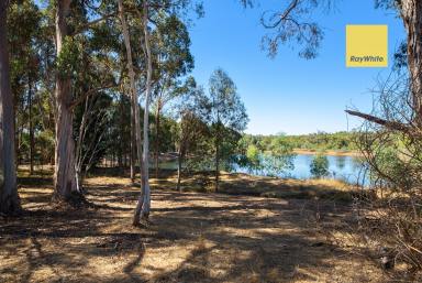 Residential Block For Sale - WA - North Greenbushes - 6254 - INDUSTRIAL LAND WITH HUGE POTENTIAL  (Image 2)