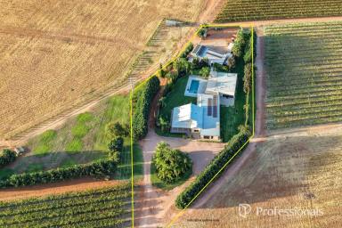 House For Sale - VIC - Cardross - 3496 - Entertainers Paradise on 7,625m2  (Image 2)
