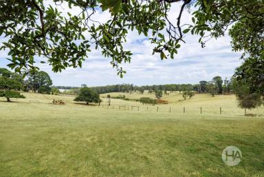 Acreage/Semi-rural For Sale - VIC - Red Hill - 3937 - Incredible Location  (Image 2)