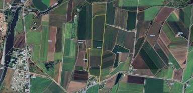 Other (Rural) For Sale - QLD - Ayr - 4807 - 93 ACRE CANE FARM WITH HOUSE & SHED - AYR  (Image 2)