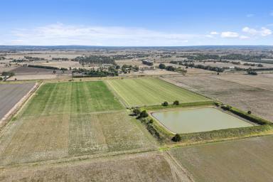 Cropping For Sale - VIC - Catani - 3981 - 172 acres of Productive Peat Country  (Image 2)
