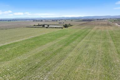 Cropping For Sale - VIC - Catani - 3981 - 172 acres of Productive Peat Country  (Image 2)