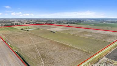 Cropping For Sale - VIC - Catani - 3981 - 172 acres of Productive Peat Country  (Image 2)