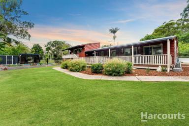 House For Sale - QLD - Toogoom - 4655 - Coastal Luxury on 3/4 Acres  (Image 2)
