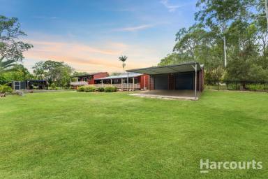 House For Sale - QLD - Toogoom - 4655 - Coastal retreat - your dream home awaits!  (Image 2)