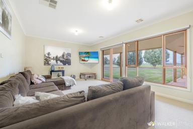 Lifestyle For Sale - VIC - Tongala - 3621 - Stunning Lifestyle Property  (Image 2)