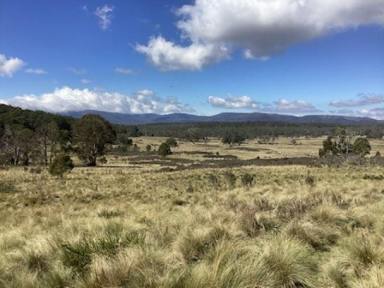 Livestock For Sale - NSW - Kybeyan - 2631 - Historic “Waratah” Homestead for sale 146.4 Hectares - Income : Beef Cattle, Sheep and Timber  (Image 2)