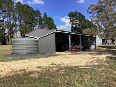 Livestock For Sale - NSW - Kybeyan - 2631 - Historic “Waratah” Homestead for sale 146.4 Hectares - Income : Beef Cattle, Sheep and Timber  (Image 2)
