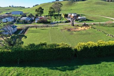 House For Sale - TAS - Irishtown - 7330 - Renovated 4 Bedroom Home on 3 Titles  (Image 2)
