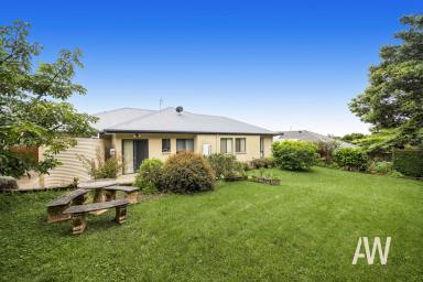House For Sale - QLD - Maleny - 4552 - Executive Living - Large, One-Level Home in Prime Maleny Location  (Image 2)