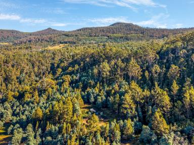 Lifestyle For Sale - TAS - Magra - 7140 - Your Private Sanctuary Awaits - 11.67 Hectares of Pure Tranquillity  (Image 2)