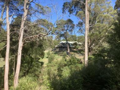 Acreage/Semi-rural For Sale - VIC - Toora North - 3962 - "Spring Valley"  (Image 2)
