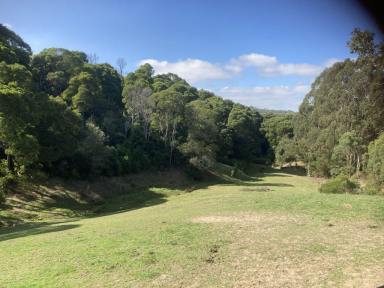 Acreage/Semi-rural For Sale - VIC - Toora North - 3962 - "Spring Valley"  (Image 2)