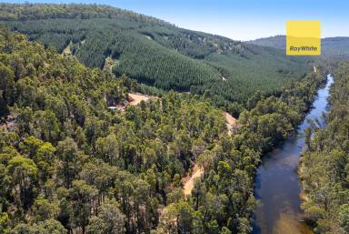 Lifestyle For Sale - WA - Southampton - 6253 - Secluded bush block near the Blackwood River  (Image 2)