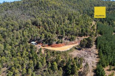 Lifestyle For Sale - WA - Southampton - 6253 - Secluded bush block near the Blackwood River  (Image 2)