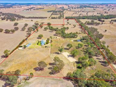 Lifestyle For Sale - NSW - Young - 2594 - Spacious Family Home on 50acs With Excellent Horse Facilities & Town Water  (Image 2)