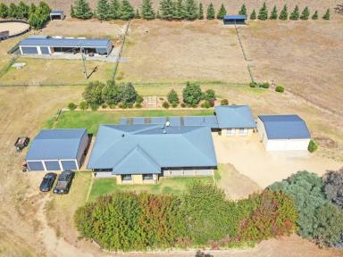 Lifestyle For Sale - NSW - Young - 2594 - Spacious Family Home on 50acs With Excellent Horse Facilities & Town Water  (Image 2)