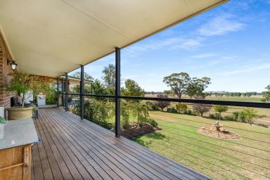 Lifestyle For Sale - NSW - Cowra - 2794 - 260ACRES* OF HIGH QUALITY IRRIGATABLE LAND, RIVERFRONTAGE & AN EXCEPTIONAL HOME!  (Image 2)