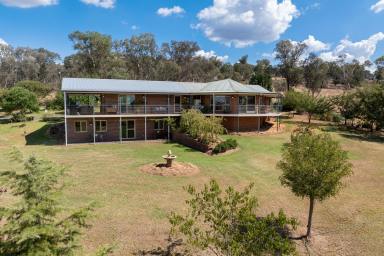 Lifestyle For Sale - NSW - Cowra - 2794 - 260ACRES* OF HIGH QUALITY IRRIGATABLE LAND, RIVERFRONTAGE & AN EXCEPTIONAL HOME!  (Image 2)
