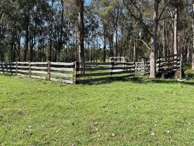 Other (Rural) For Sale - NSW - Lower Dyraaba - 2470 - Versatile 387 Acre Property  (Image 2)
