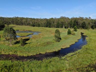 Other (Rural) For Sale - NSW - Lower Dyraaba - 2470 - Versatile 387 Acre Property  (Image 2)