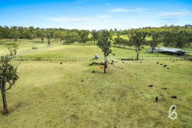 Other (Rural) Sold - NSW - Muswellbrook - 2333 - WELL POSITIONED & FULLY ESTABLISHED RURAL HOLDING  (Image 2)