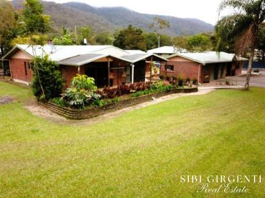 House For Sale - QLD - Carrington - 4883 - SOLID CARRINGTON FAMILY HOME WITH MODERN FINISHES AND GRANNY FLAT  (Image 2)