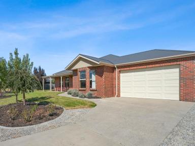 House For Sale - TAS - Newnham - 7248 - When size does matter!  (Image 2)