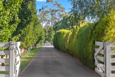 House For Sale - VIC - Frankston South - 3199 - Luxurious space & superb style!  (Image 2)