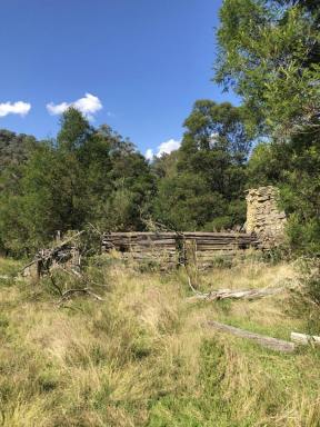Farmlet Sold - VIC - Dargo - 3862 - REMOTE ACREAGE ACCESSIBLE BY FOOT ONLY  (Image 2)
