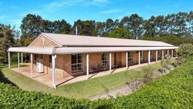 Lifestyle For Sale - NSW - Berry - 2535 - Idyllic Rural-Coastal Retreat  (Image 2)