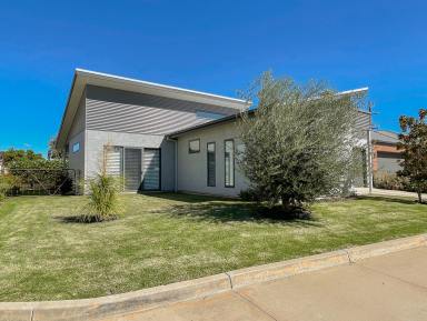 House For Lease - VIC - Swan Hill - 3585 - Superb lifestyle Property  (Image 2)