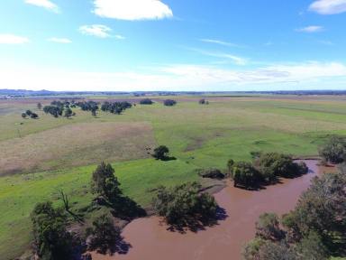 Mixed Farming For Sale - NSW - Clovass - 2480 - 'RIVEREST' - TOMKI 158 ACRES  (Image 2)