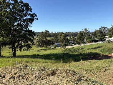 Residential Block For Sale - NSW - Coffs Harbour - 2450 - A large 1176m2 block / New Estate  (Image 2)