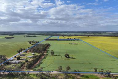 Cropping For Sale - VIC - Drummartin - 3570 - EXCEPTIONAL LIFESTYLE PROPERTY ON 114 ACRES  (Image 2)