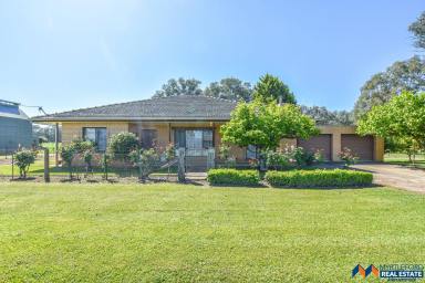 Other (Rural) For Sale - VIC - Whorouly - 3735 - 108 Acres with Ovens River Frontage  (Image 2)