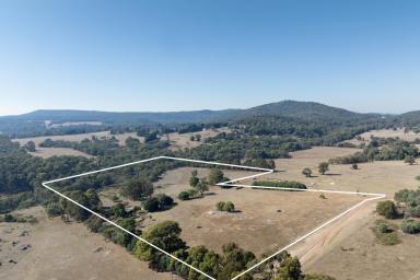 Lifestyle For Sale - VIC - Strathbogie - 3666 - Excellent Fundamentals In The Tightly-Held Creek Junction Precinct  (Image 2)
