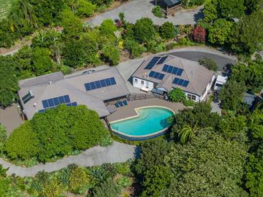House For Sale - NSW - Lennox Head - 2478 - Private Paradise! Tropical garden acreage in the middle of Lennox Head.  (Image 2)