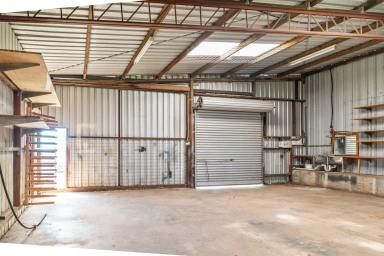 Industrial/Warehouse For Lease - QLD - Drayton - 4350 - 67 sqm. Industrial Shed in Drayton  (Image 2)
